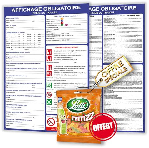 Affichage obligatoire entreprise 2025 - Panneau affichage entreprise obligatoire - Affichage obligatoire toutes entreprises - 2 formats A3 plastifié effaçable + feutre offert (x2 29,7x42cm) CDTA3