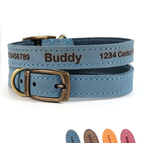 Personalisiertes Leder Hundehalsband (Blau, Größe 2) mit Wunschgravur | Laser-graviertes Ancol Halsband für Welpen, Individuell gestaltet mit Wunschtext oder Name ~ Hundemarke aus echtem Leder