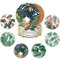 JJ Prime - Lot De 6 sous-Verres en Céramique | Dessous De Verre Absorbants avec Support | Anti-Rayures & Antidérapants sous-Verres | Cadeaux pour La Maison (Feuilles)