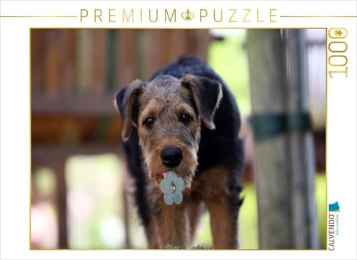 CALVENDO Puzzle Airedale Terrier Welpe | 1000 Teile Lege-Größe 64 x 48 cm Foto-Puzzle für glückliche Stunden