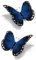 x3 Tatouage Éphémère papillon bleu 3D - 1 lot de 3 Feuilles de tatouage temporaire insectes | Bras, épaule, cou, cheville, main, jambe | Bleu | Homme, Femme - TATTOO YOUR STYLE