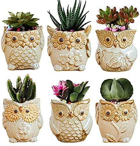 FBWSM 6 Stück Eulen Blumentopf, Keramik Eulen Sukkulenten Topf, Mini Künstliche Sukkulenten Töpfe Für Haus, Büro Und Garten (Keine Pflanzen)