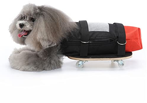 Hunde-Katzen-Rollstuhl für Hinterbeine, Pet Walking Scooter mit Leisen Rädern, Behinderter Hunde-Katzen-Assistenz-Scooter, Schützt die Brust und die Gliedmaßen Ihres Haustieres (M (Geeignet für