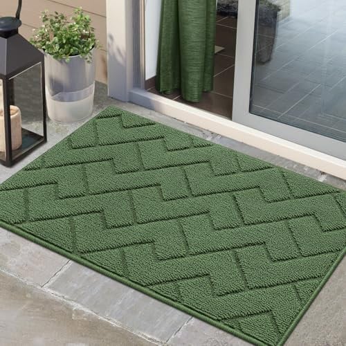 Biscpro Fußmatte Innen Außen Waschbar eingangsteppich innen Schmutzfangmatte rutschfest,Türmatte Innen Teppich für Eingang, Patio, Flur, Garten, Innen und Außen (Grün, 60 x 90 cm)