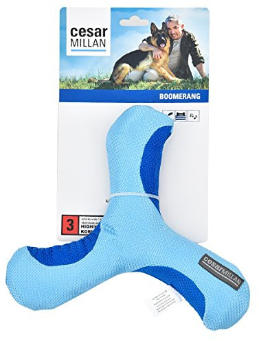 Offizielles Cesar Millan Medium Activity Level Hundespielzeug Pets Zahnungshilfe Kauen Boomerang