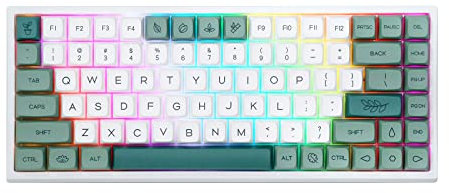 EPOMAKER EP84 - Teclado mecánico para Juegos 75% RGB, Intercambiable en Caliente, 2,4 GHz/Bluetooth 5.0/USB-C, con Software programable, NKRO para Mac/Win/Gamer (Budgerigar)