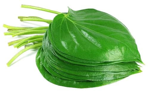 Fresh Betel Leaves | Beetle Leaves Approx.10Pieces | Pan Leaves | Leaf Betel | Fresh Leaf | Used for Pooja & Edible | Indian Origin | Approx 50G