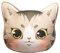 champracer Kinderkissen 3D Katze Kissen Flauschiges Tierkissen für Kinder und Erwachsene, Süßes Dekokissen mit Füllung (48x40 cm,Graue Katze)