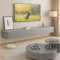 Ribanedy Modern Floating TV Unit | Wall-Mounted Entertainment Media Console | Large Storage TV Bench for Living Room & Office (Grey, 140cm)