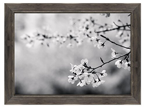 QUADRO SU TELA CANVAS INTELAIATO - CON CORNICE - Fiori di Pesco - Foto bianco e nero - Fiori Rosa - 70x100cm - Stile Country Nero Shabby - (cod.3614)