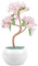 Nupuyai Rosenquarz Kristall Baum Feng Shui Edelstein Baum mit Keramische Basis, Glücksbaum, Geldbaum Geschenk, Hochzeit Deko für viel Glück 6,5-7,5 Zol