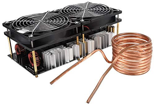 Bewinner Riscaldatore a Induzione, Modulo Riscaldatore a Induzione ad Alta Frequenza 12V-48V 2500W, Modulo Scheda Riscaldamento per Giocatori Fai-da-Te