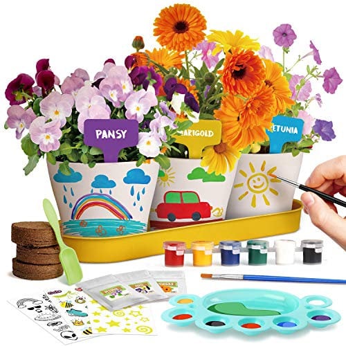 Paint Plant Flower Growing Kit for Kids - Gardening and Art Craft Painting Set - Girls Gifts for Ages 7-11 - Grow Your Own Garden