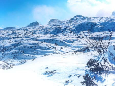 Poster-Bild 110 x 80 cm: Panorama of Krippenstein mount and overlooking rocky peaks of Dachstein Alps, Salzkammergut, Austria(145662772)