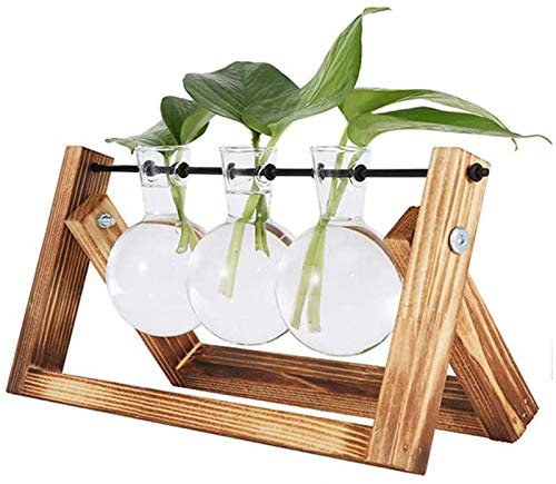 Vandove Hydroponik Vase, Hängevase Pflanzenvase Glasvase Planter Bulb Vase, Blumenvase Tischvase Dekovase Deko Holz Halte, für Home Garden Office Dekoration (3 Vasen)