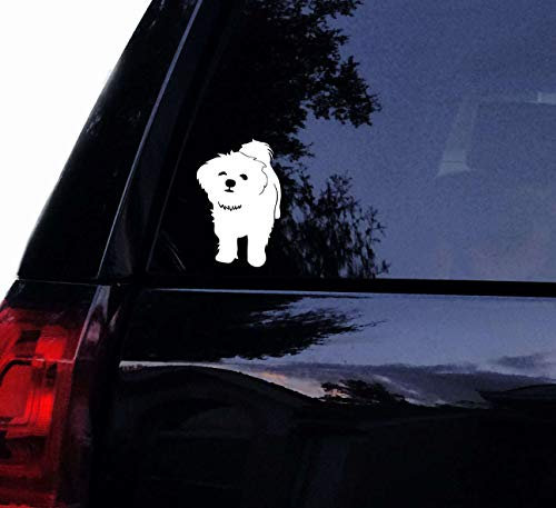 CELYCASY Aufkleber mit Malteser-Hund, niedlicher weißer Malteser-Welpe, Vinyl-Aufkleber für Auto, Laptop, Auto, Fenster, Wand