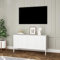 [en.casa] Fernsehschrank Castelli mit Stauraum TV Board Fernsehkommode TV Kommode 114 x 40 x 60 Stahl