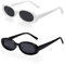 Werownsgso 2 Stück Vintage Oval Sonnenbrille, 90er Retro Sonnenbrillen, Vintage Katzenauge Sonnenbrille, Modische Schmale Sunglasses für Damen Reisen Geschenke (Farbe 3)