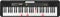Casio Casiotone LK-S250 61-Key Portable Keyboard with Key Lighting System