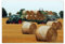 Tapete Vlies 416x290cm Traktoren Auf Dem Feld Nr. H8582M_TV5BD