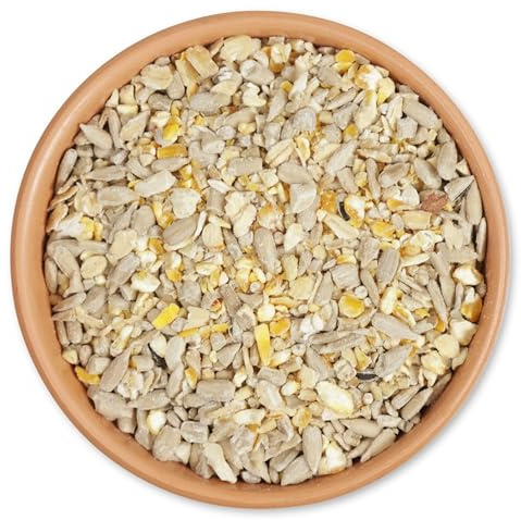 CJ Wildlife Streufutter für Wildvögel 1kg – Vogelfutter Wildvögel Ganzjährig – Geschälte Samen – Ohne Weizen – Proteinreich Wildvogelfutter