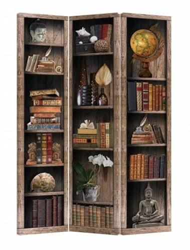 Fine Asianliving Paravent Interieur Séparateur de Pièces L120xH180cm Deux Côtés Cloison de Séparation Amovible Paravent Toile imprimé Deco Paravent Diviseur