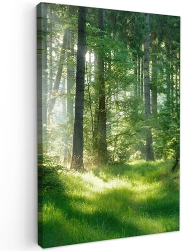 MuchoWow© Leinwände 60x90 cm Wall Decoration Bilder Schlafzimmer Deko Pictures Canvas Painting Wanddekoration Wohnzimmer Wandbilder Bild Wald - Natur - Bäume - Grün - Sonne - Gras - Pflanzen
