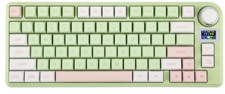 EPOMAKER TH80-X Gasket Mechanical Keyboard, 75% Layout Triple Mode Hot-swap Gaming Keyboard with 4000mAh Battery, LCD Screen, Silicon Pad, NKRO for Office/Win/Mac (Pink Green, Gateron Pro Yellow)