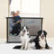 Hunde Türschutzgitter Türschutzgitter Ohne Bohren Treppenschutzgitter Hund Tragbarer Hundeschutzgitter Sicherheitsgitter für Treppen Treppenschutzgitter Ohne Bohren für Treppen Türen Flur 110 x 76 cm