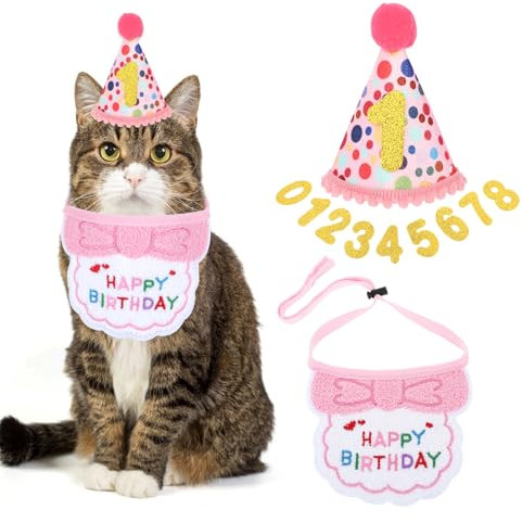 YUXIANLB Suministros para fiesta de cumpleaños de gato, bandana de cumpleaños para gatita, sombrero de cumpleaños de gato con números, babero de cumpleaños de gato, trajes de decoración de cumpleaños