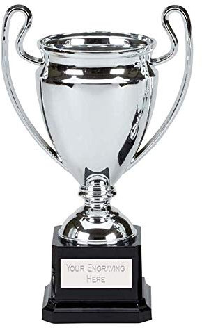 Trophies Plus Medals Mirror Silver Trophy Cup On A Black Base 17cm (6 3/4) FREE ENGRAVING