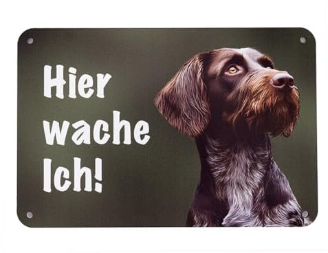 Deutsch Drahthaar Braunschimmel „Hier wache ich!“ Hundeschild – Jagdhund-Warnschild für Gartenzaun, Gartentor und Haustür – Aluminium-Verbundmaterial – 24 x 16 cm
