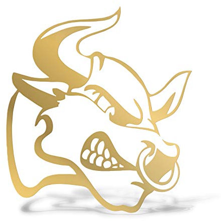 ERREINGE STICKER PRESPAZIATO ORO 12cm - TORO DX - Adesivo Decal Decalcomania Vinile Murale Laptop Auto Moto Casco Camper