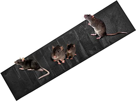 YJZQ Planche à Souris Piège à Colle Grandes Plaques Autocollante 5PCS Tapis Magic Attrape Mouche Coussin Anti Rat et Anti Souris Noires 1.2m X 28cm