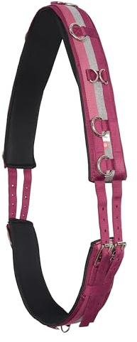 Imperial Riding Longiergurt „IRH Deluxe“, Polyester mit Neoprenfütterung und Metallringen, Rose-Bordeaux-Silber, Full
