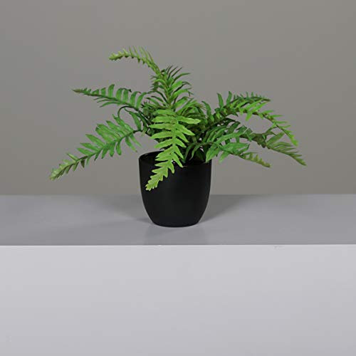 Seidenblumen Roß Farnbusch 30x25cm im schwarzen Dekotopf DP Kunstpflanzen Kunstfarn künstlicher Farn Pflanzen