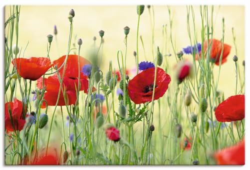 ARTLAND Wanddeko Leinwand Bilder Wandbild 120x80 cm Pflanzen Blumen Mohn Mohnblumen Kornblumen Blumenwiese Sommer U4YP