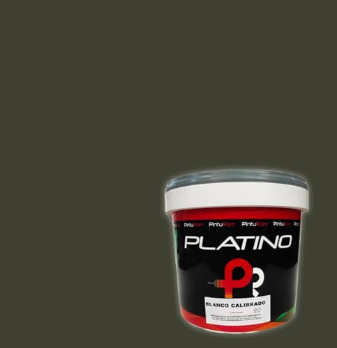 Pintura interior de paredes en color gris cemento PLATINO COLOR, magnífica cobertura, secado rápido, 14 Litros.