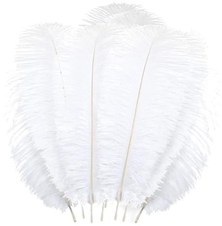 18 PCS Large White Feathers, White Ostrich Feathers 20-25cm Fluffy White Feathers for Christmas Tree, White Feathers for Crafting Wedding Decoration, Clothing Accessories and Handmade DIY Crafts