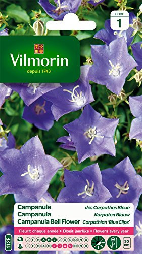 Vilmorin 5182541 Campanule Bleu 9 x 0.5 x 16 cm