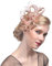 Amorar Damen Fascinator Hair Clip Hut Bankett Hut Stirnband Feder Blume Schleier Bowler Braut Hut für Cocktail Hochzeit (Champagner)