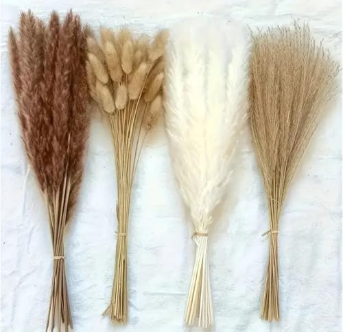 50 pcs Natural Dried Pampas Grass Bundle, Bohemain Plant Home Decor, Party decor