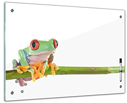 Bilderdepot24 Memoboard 60 x 40 cm | Tiere | Rotaugenlaubfrosch | abwaschbare Glas-Magnettafel mit Halterung Magneten Stift 1318