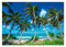 Fototapete Strand und Meer 3D Palmen Karibik Ozean Hawaii Tropical Modern Wohnzimmer Schlafzimmer Wandtapete Vlies Tapete UV-Beständig Montagefertig (368x254 cm - 4 Bahnen)