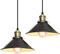 iDEGU Lot de 2 Lustres Rétro Suspension Luminaire Vintage 22CM Métal Plafonnier Abat-jour Industriel E27 Lampe de Plafond pour Salon Cuisine Chambre Restaurant (Noir)