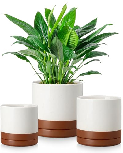 vancasso Keramik-Blumentöpfe, 3er-Set, 10,7 cm + 13,2 cm + 15,25 cm + 15,7 cm Zylinder-Pflanztöpfe mit Ablaufloch und Untersetzer, für drinnen und draußen, Blumentöpfe mit Lochgitter-Pad, Geschenke
