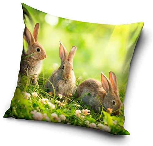 Hasen Kaninchen Baby Motiv Kissenhülle Kissenbezug 40x40 cm (PNL214065)