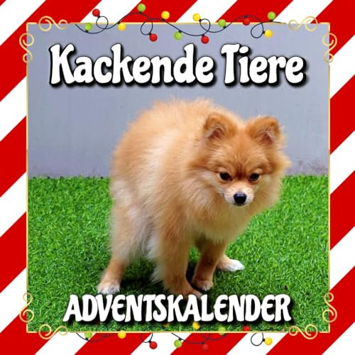 Kackende Tiere Adventskalender: Kalender mit 24 lustige Tiere Fakten bis Advent und Weihnachten