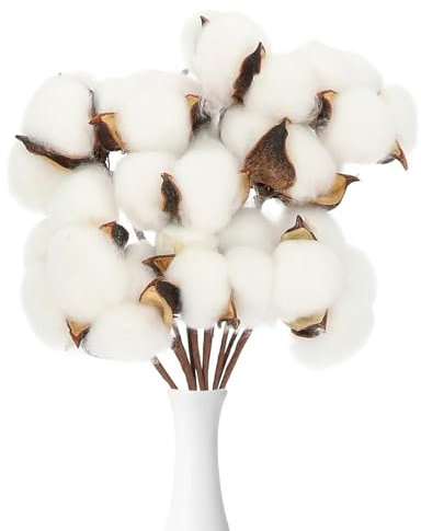 KARELLS Echter Baumwollzweig,10 PCS getrocknete Baumwolle Zweig,weiß Baumwolle Deko,Baumwollzweige,für Vase Hochzeit Party,Zimmer Deko