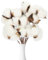 KARELLS Echter Baumwollzweig,10 PCS getrocknete Baumwolle Zweig,weiß Baumwolle Deko,Baumwollzweige,für Vase Hochzeit Party,Zimmer Deko
